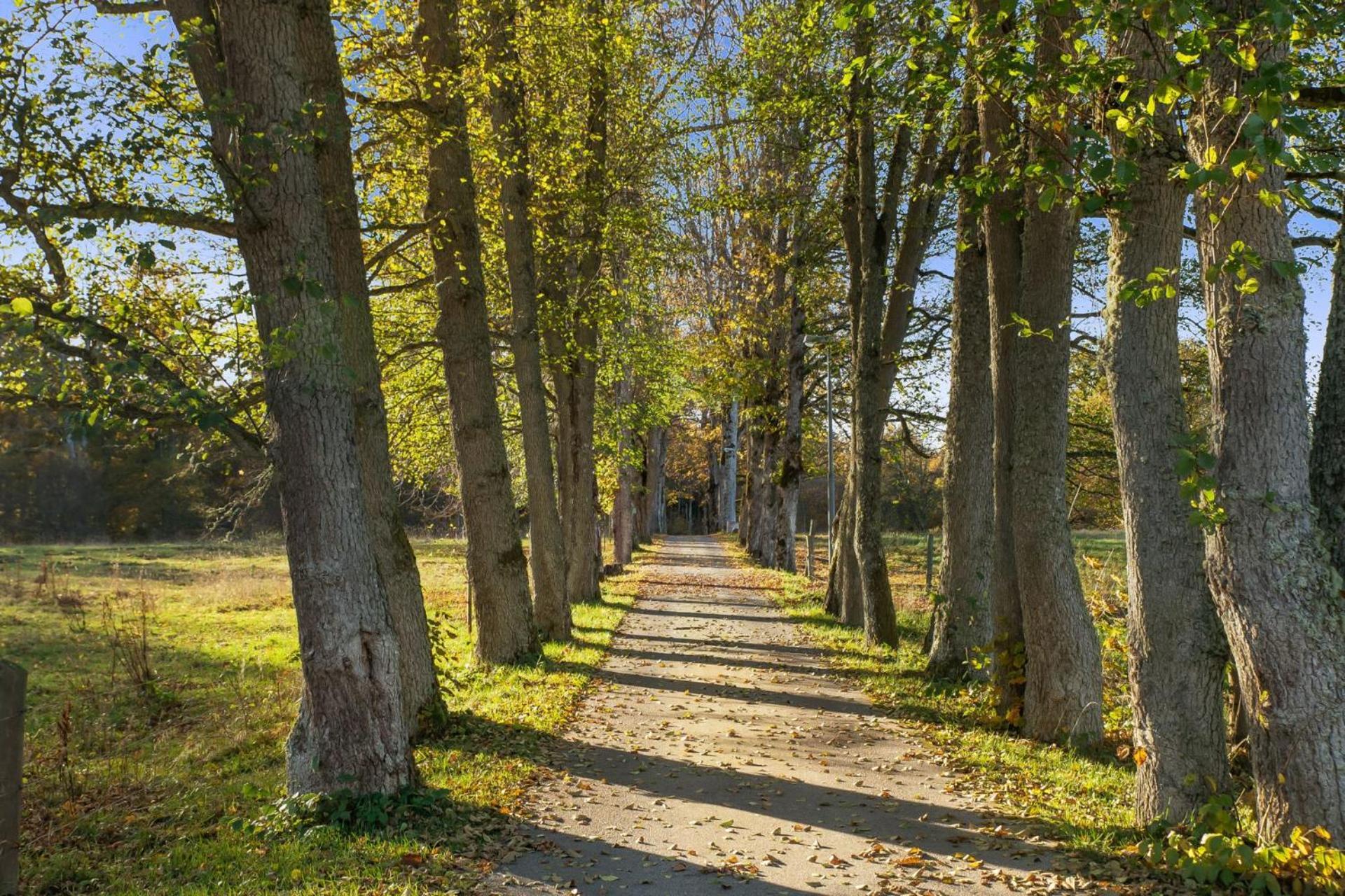 Grimsnas Herrgard Ljuder (Kronoberg) المظهر الخارجي الصورة